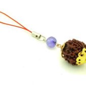 5 Facet 18Mm Rudraksha With Purple Swarovski Hanging1