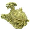 Brass Dragon Tortoise Jewelry Box4