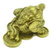 Brass Money Frog Bitting Coin (S)2