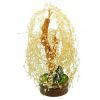 Citrine Crystal Four Seasons Willow Feng Shui Tree2
