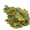 Dragon Tortoise with Strings of Coins for Wealth1