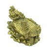 Dragon Tortoise with Strings of Coins for Wealth4