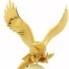 Exquisite Golden Eagle for Power and Authority5