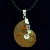 Fiery Polished Ammonite Fossil With Sterling Silver Pendant Holder1