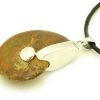 Fiery Polished Ammonite Fossil With Sterling Silver Pendant Holder3