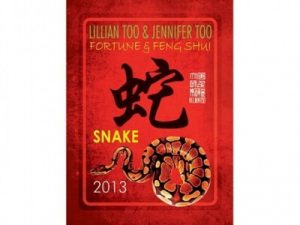 Fortune and Feng Shui Forecast 2013 for Snake