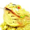 Golden Giant Good Fortune Money Frog5