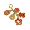 Success and Wealth 5 Amulet Coins Keychain2