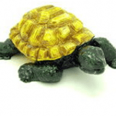 Tortoise