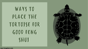 Ways to place the tortoise for good feng shui