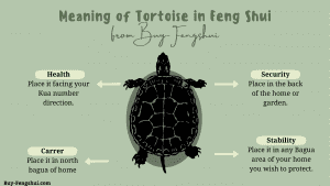 Meaning of the tortoise