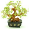 Prosperity Feng Shui Peridot Crystal Tree