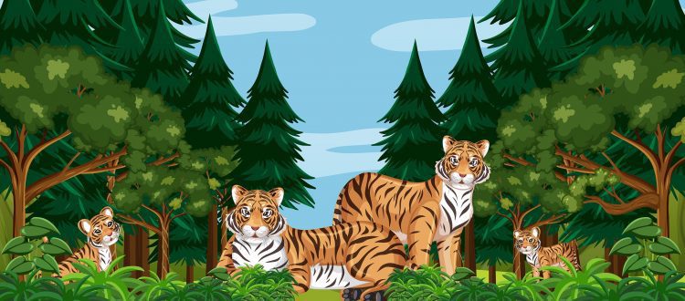 Forest or rainforest scene with tiger family