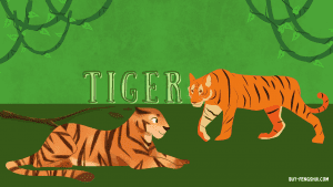 Tigers in the Jungle