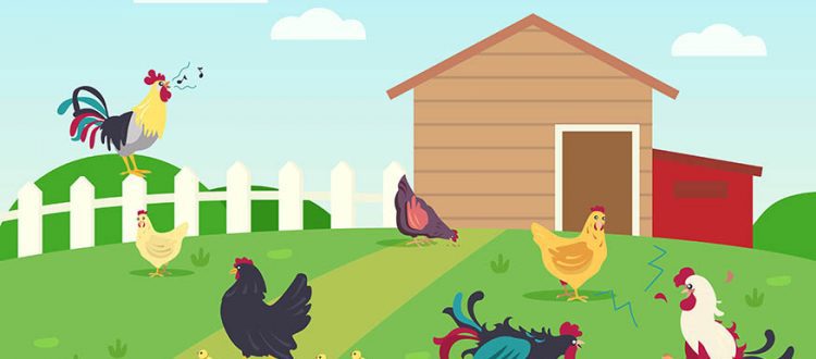 Live of hens and roosters in countryside. Chicken, grass, lawn flat vector illustration. Farm animals and birds concept for banner, website design or landing web page