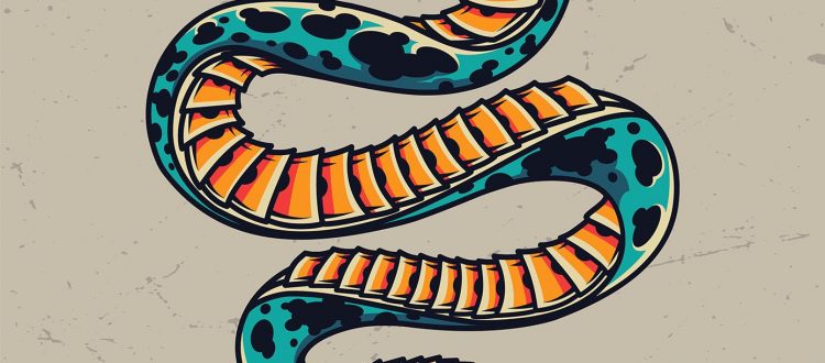 Poisonous snake colorful tattoo concept in vintage style on gray background isolated vector illustration