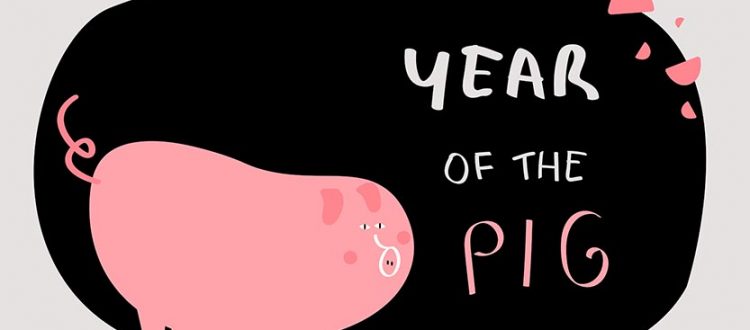 Year of the pig vector