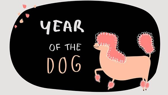 Year of the dog vector