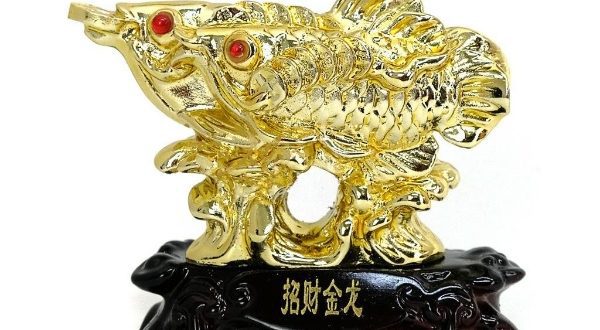 Golden Arowana Fish