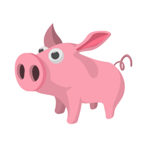 pig