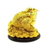 Wealthy Rich Feng Shui Golden Money Frog