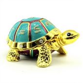 Period 9 Tortoise